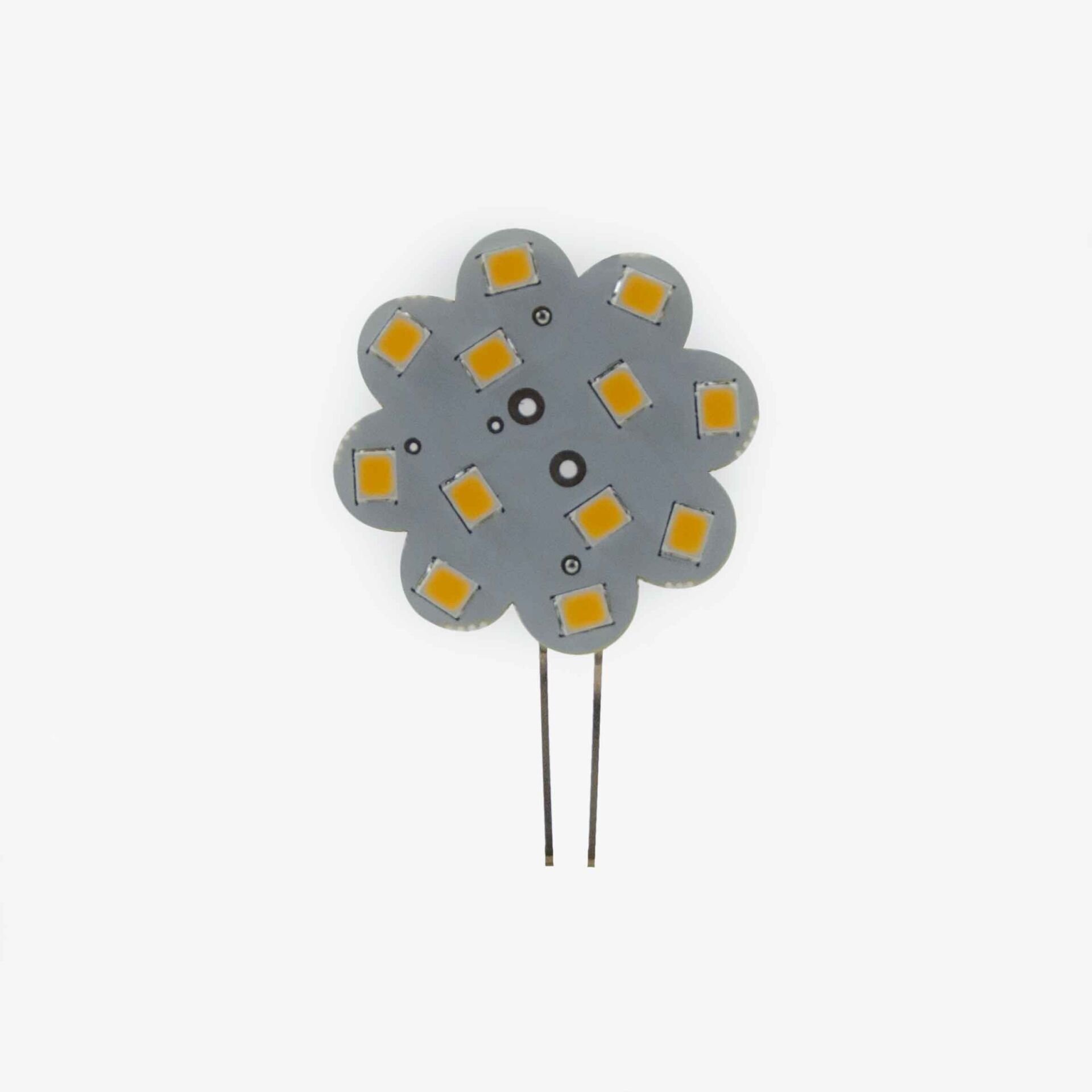 WOLFMAR 12 LED G4 İĞNE BACAK AYDINLATMA 9-30V